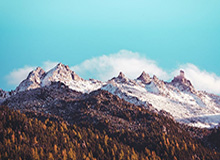 xingkongsports-单赛季多次单场砍下30分9板且仅投失1球 杜伦成历史第三人|活塞|查尔斯·巴克利|德怀特-霍华德|NBA常规赛|底特律活塞队_新浪体育_新浪新闻